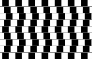 Illusion_ Illusion by Richard Gregory