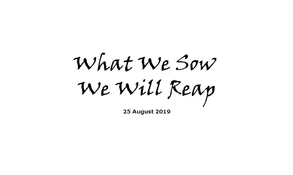 Sermon - 25-8-19 - What We Sow We Will Reap
