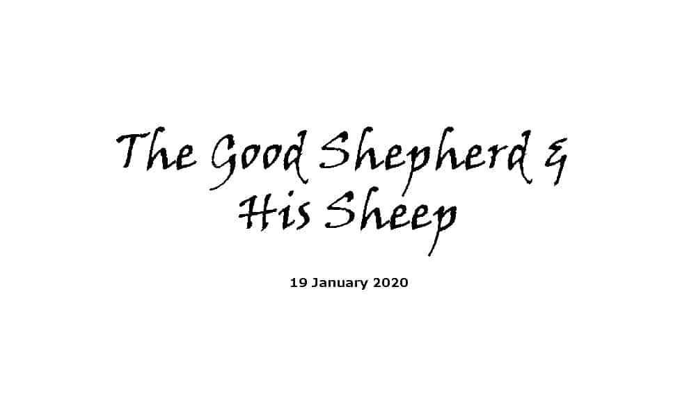 Sermon - 19-1-20 - The Good Shepherd & His Sheep
