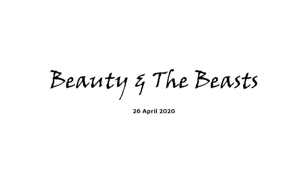 Sermon -26-4-20 - Beauty & The Beasts