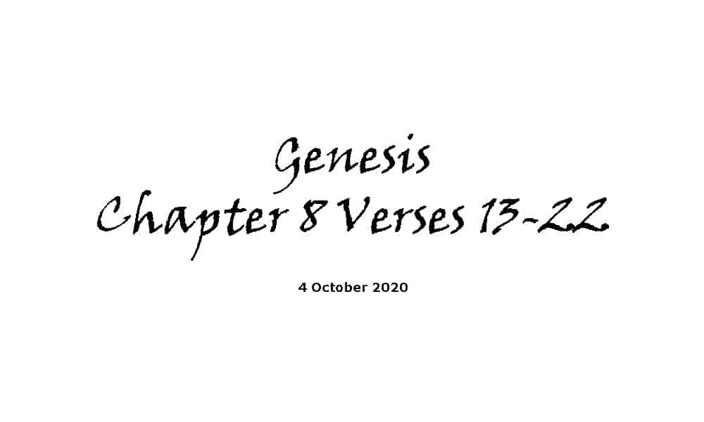 Reading - Genesis Chapter 8 verses 13-22