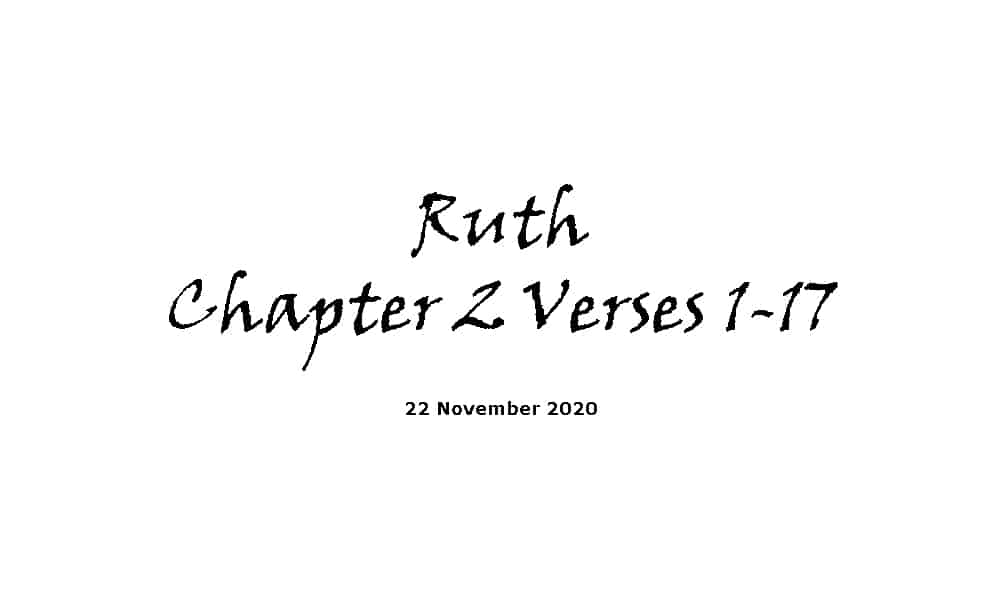 Reading - Ruth Chapter 2 Verses 1-17