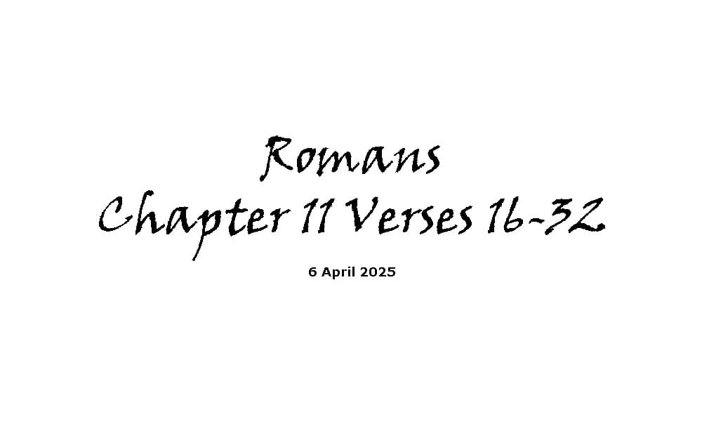 Romans Chapter 11 Verses 16-32