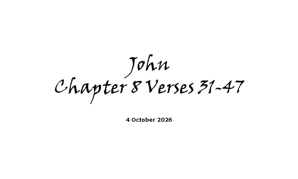 John Chapter 8 Verses 31-47